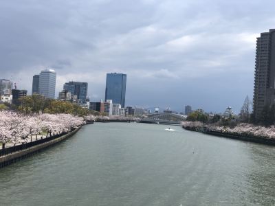 ホテル周辺 大阪リバーサイドホテルの写真