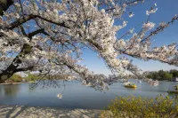 InterContinental Hotels NANJING by IHG - Romantic