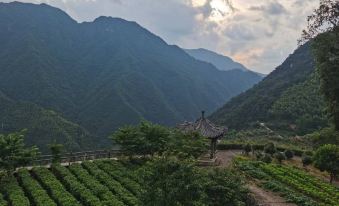 Longquan Linyun Home Farmhouse