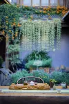 Yangguang lijiang Courtyard - อ่างจากุชชี่