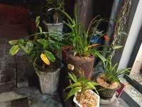 Youjian Homestay (Border City Chatong Scenic Area)