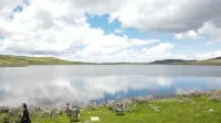 Kangding Zangyuan Kangba Boutique Homestay