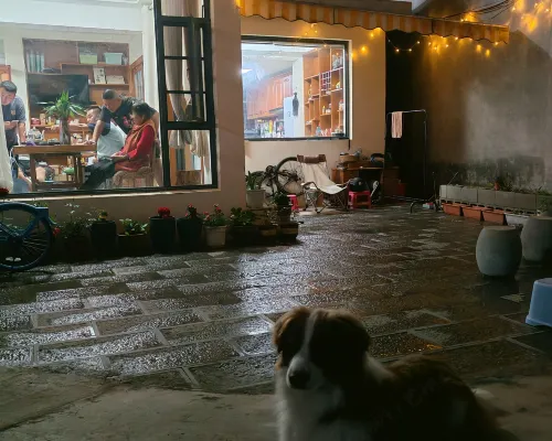 Lijiang Qishangju Youth Hostel من الخارج Photos