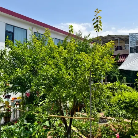 Tangfan Yun She Yoyo Courtyard Homestay (Tangwang Xinghuacun)