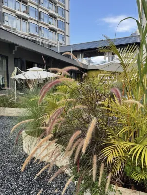 門下·棲聿飯店（戴家巷古建築群普洱機場店） - 寵物友善