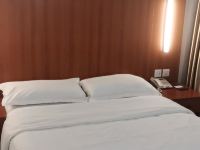 哈尔滨星河大酒店 - 大床房
