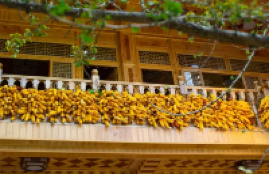 Tengchong Ginkgo Village Xibang Farm Stay
