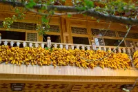 Tengchong Ginkgo Village Xibang Farm Stay