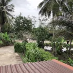 The Shark Resort