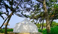 I WANNA GLAMPING Hotels in Yangma Island Resort
