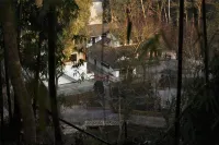 Qingting Homestay