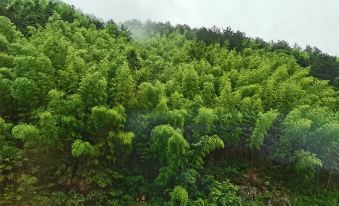 Yunli Shansu (Huangshan Scenic Area Branch)