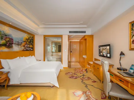 Vienna International Hotel (Li Guang Load Yong Run Plaza)