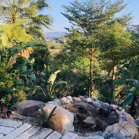 Qingyuan Bijia Mountain Butterfly Valley Homestay