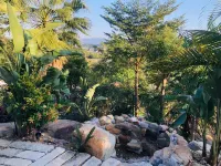 Qingyuan Bijia Mountain Butterfly Valley Homestay Hotels near Beijiang Night Cruise(Gold No. 1 Wharf)