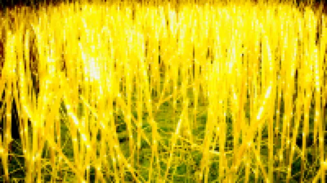 루펑 룽산 호텔