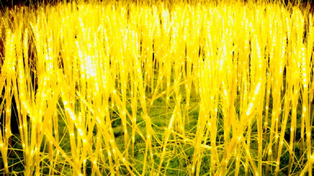 Lufeng Longshan Hotel