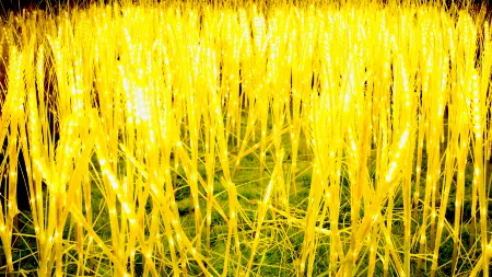 Lufeng Longshan Hotel Отели рядом с достопримечательностью «Fushan Mazu»