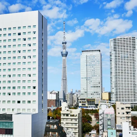 Lotte City Hotel Kinshicho Tokyo