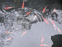 溫湯鎮軍地人生精品客棧 溫泉度假區住宿飯店