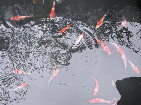 Wentangzhen Jundi Life Boutique Inn Отели в г. Ичунь