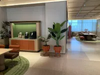 Orange Hotel (Jiaozuo Municipal Government Wanda Plaza) - Wifi