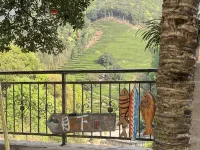 Qiandaohu Yuexia Homestay - Bjergudsigt