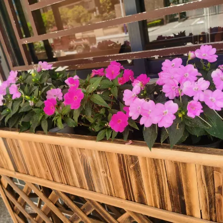 Changyang Xiaoqiao Homestay