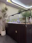 Hongyuan Hotel (Kaifeng Wansui Mountain Song Dynasty Martial Arts City)