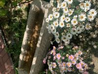 北京花蹊丽舍 - 三号院