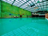 莽山森林温泉酒店 - 室内游泳池