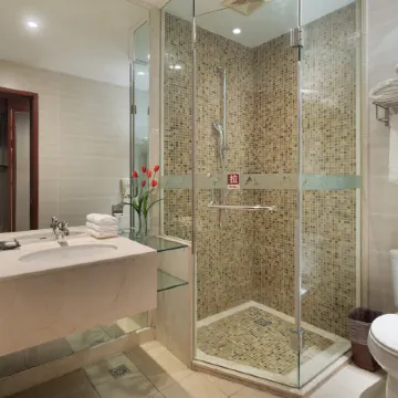 Emei Mountain Hot Spring Hotel