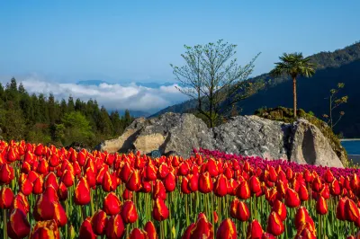 Huatian Inn, Blackstone Park, Table Mountain Hotel di Yingjing