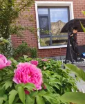 Floral Hotel·Jingshui Shanju hotel (Yesanpo Bailixia Scenic Area) - Villas