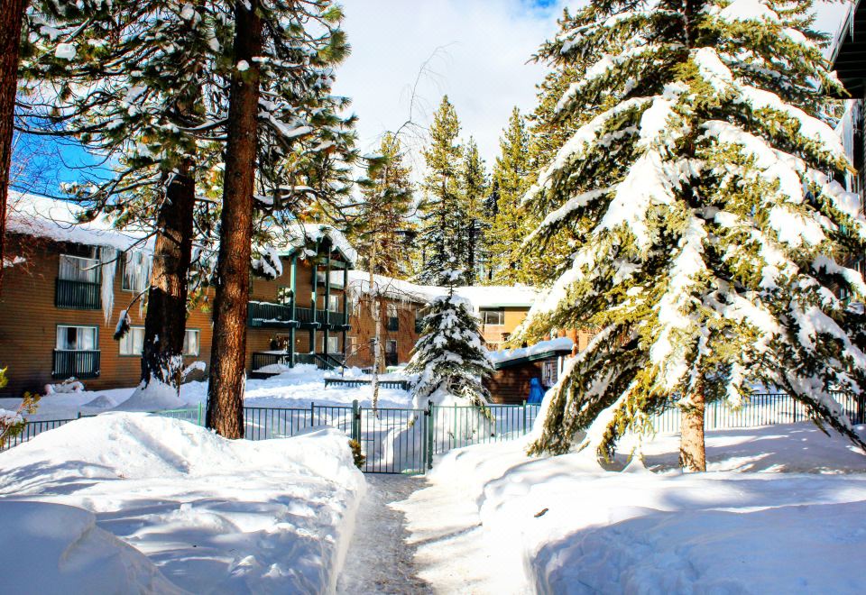 Forest Suites Resort at the Heavenly Village, South Lake Tahoe