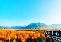 Ningguo Yuhou Qianshan Homestay (Wannan Chuanzang Line Hongshan Forest) - فطور