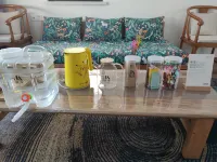 Moon Island Beach Seaview Holiday Villa