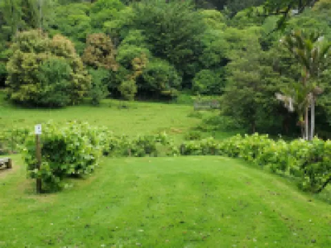 Dickson Holiday Park Hotels in Thames