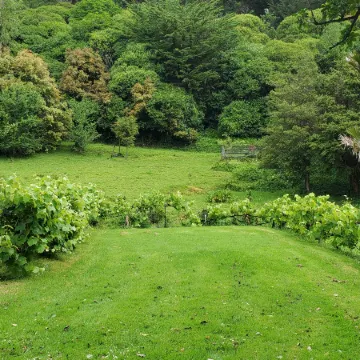 Dickson Holiday Park