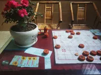 Guanghan Sunflower Youth Hostel