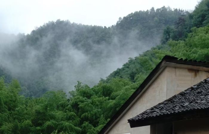 Pujiang Yishanmen Homestay
