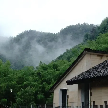 Pujiang Yishanmen Homestay