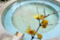 Ronghui Hot Spring Resort - Hot Springs