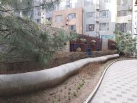北京百拓暖心公寓 - 花园