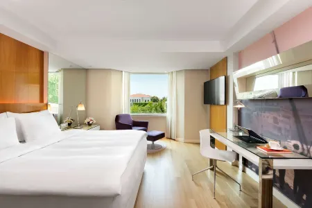 Radisson Blu Bosphorus Hotel, Istanbul