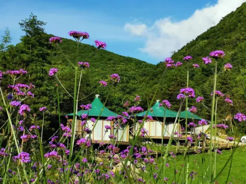 Lichuan Hanchi Resort Camp