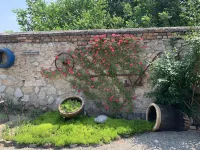 Luanxian XunXiang 1981 boutique home stay Hotels in Luanzhou