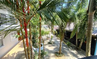 Roomy Guesthouse Koh Rong