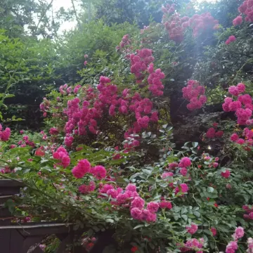 Zigui Chuyuanju Hotel