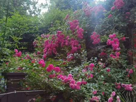 Zigui Chuyuanju Hotel